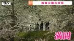 幻想的な景色を見ようと大勢の人! 霞城公園で夜桜のライトアップ お堀沿いの桜も満開!(山形市)|TBS NEWS DIG