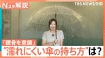 傘は「クロス持ち」「骨を意識」で雨に濡れにくい？　持ち方ひとつで変わる！“濡れにくい傘の持ち方”とは？【Nスタ解説】|TBS NEWS DIG