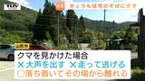 山形市でクマの目撃が複数確認される 市が注意を呼びかけ(山形) | 山形のニュース│TUYテレビユー山形