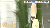 三次の美術館に早くも門松「笑い竹」で良い年を|TBS NEWS DIG