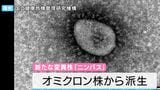 新型コロナウイルスの新たな変異株「ニンバス」 なぜ今感染が拡大?「基本的な感染対策と定期的な換気を」|TBS NEWS DIG