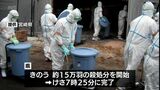 日向市の養鶏場で発生した鳥インフルエンザ 約15万羽の殺処分が完了 | MRTニュース | MRT宮崎放送