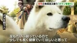 家畜やペットの無病息災を願う「ガラン笹祭り」 トラクターも | 熊本のニュース|RKK NEWS|RKK熊本放送