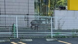 仙台駅周辺でニホンカモシカ? 複数の目撃情報 警察がパトロール|TBS NEWS DIG