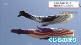 スッキリと広がった青空に悠々と舞う　宮崎市佐土原町で恒例「くじらのぼり」　|　MRTニュース ｜ ＭＲＴ宮崎放送