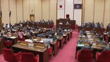 公園や河川の除草費は前年度並に　市議会が動議可決し「コンクリートで固めて草刈の面積と費用減らす」市長の提案どうなる？　|　福岡のニュース｜RKB NEWS｜RKB毎日放送