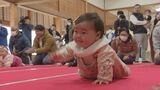 佐賀城本丸で新春恒例の「ハイハイレース」 動かない・途中で泣き出す・一気に進む赤ちゃんに家族たちが大きな声援 | 福岡のニュース|RKB NEWS|RKB毎日放送