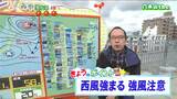 「新緑が映える青空に。同時に新緑を揺らすような西よりの風が強まりそう」宮城の30秒天気 tbc気象台 27日|TBS NEWS DIG