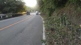 「いきなり木が倒れてきた」倒木が走行中の車2台に衝突する事故 けが人なし=静岡・富士宮市 | 静岡のニュース | SBSNEWS | 静岡放送