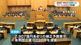 中学生まで医療費負担ゼロへ…鹿児島市独自の子ども医療費助成の条例改正案など30議案提案 | 鹿児島のニュース|MBC NEWS|南日本放送