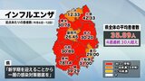 インフルエンザ患者数4週連続警報基準超え 新型コロナウイルスも高い数字続く 岩手|TBS NEWS DIG