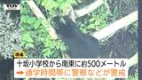けさも県内各地でクマの目撃相次ぐ 近くには小学校も 市や警察が注意呼びかけ(山形)|TBS NEWS DIG