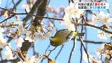 仙巌園に春の訪れ 駅開業初 祝日のにぎわいは | 鹿児島のニュース|MBC NEWS|南日本放送