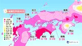 最新のサクラ開花予想　高知は３月１９日　東京・福岡の3月18日に次ぐ早さに|TBS NEWS DIG