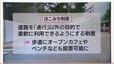 日常的なにぎわい創出を　宮崎市高千穂通りでの「ほこみち制度」活用に向けた検討会|TBS NEWS DIG