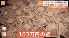 「103万円の壁」撤廃は実現可能？“手取り増”でも…税収は7.8兆円減？【Nスタ解説】| TBS CROSS DIG with Bloomberg