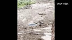 米グランドキャニオンで大規模洪水　20人以上が安否不明　日本人の被害は現時点で確認されず| TBS CROSS DIG with Bloomberg
