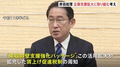 岸田総理「年収の壁」対策　企業に対する支援の拡大に取り組む考え示す| TBS CROSS DIG with Bloomberg
