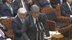 【速報】岩屋外務大臣「自動車部品の関税撤廃を前提に交渉」 アメリカ・トランプ次期大統領との貿易交渉| TBS CROSS DIG with Bloomberg