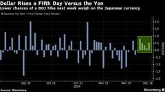 円は対ドルで６月以来の長期連続安、日銀利上げ見送り観測強まる| TBS CROSS DIG with Bloomberg