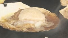 今年上半期の「ホタテ」輸出量 約3割減の9.4万トン 輸出先多角化進める 農水省| TBS CROSS DIG with Bloomberg