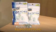 「キシリッシュ」ガムからグミへ 気になる味は？　明治 ガム事業から撤退| TBS CROSS DIG with Bloomberg
