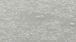 この冬最強で最長の居座り寒波　引き続き大雪に警戒を　気象台「24日は竜巻などの激しい突風、落雷」にも注意を　|　BSSニュース | BSS山陰放送