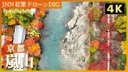【4K】嵐山の秋【JNN 紅葉ドローンDIG 2024】|TBS NEWS DIG