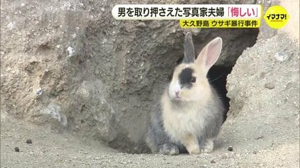 うさぎが可愛くてやった』と支離滅裂なことを…」男を取り押さえた写真