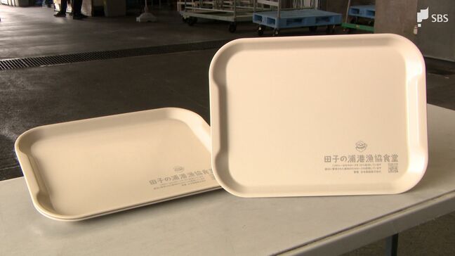 とれたてシラス丼を運ぶ「紙のまち」から生まれたトレー パルプを生かして地球にやさしく つくる責任、つかう責任=静岡・富士市【SDGs】|TBS NEWS DIG