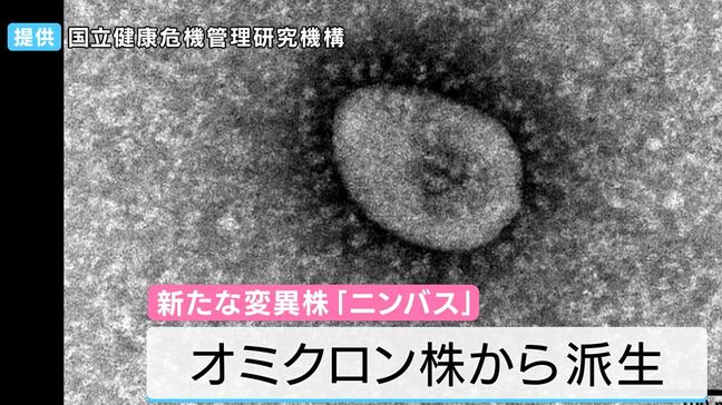 新型コロナウイルスの新たな変異株「ニンバス」 なぜ今感染が拡大?「基本的な感染対策と定期的な換気を」|TBS NEWS DIG