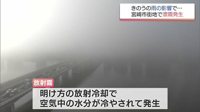 13日の雨の影響で…　宮崎県南部では「濃霧」　延岡市北川町では「しばぜき漁」が豊漁に|TBS NEWS DIG