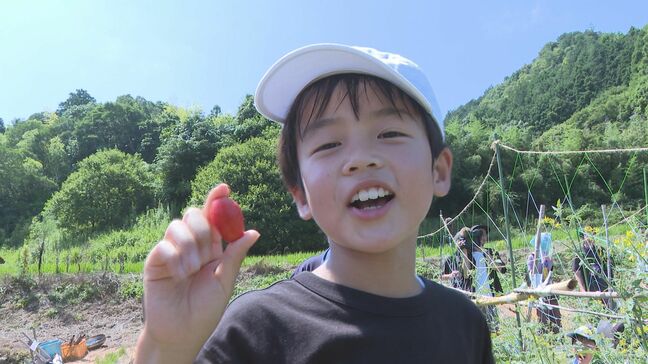 「いつもより味がおいしい！」夏休み中の子どもたち“イタリアントマト”収穫　育てたのは地域おこし協力隊の山口ふく太郎・ふく子さん|TBS NEWS DIG