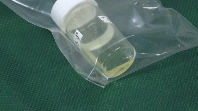空港での薬物摘発件数は2025年を上回るペース　空港や港で密輸取締の特別警戒期間スタート|TBS NEWS DIG