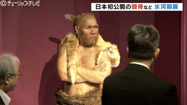 「氷河期展」4万年前の世界を知る実物のネアンデルタールの頭骨展示など富山県民会館で始まる|TBS NEWS DIG