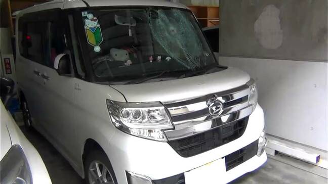 頭を強く打ち病院に搬送　会社役員の男性(65)が軽乗用車にはねられる　専門学校生の女(19)を現行犯逮捕　鹿児島市|TBS NEWS DIG