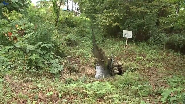 キノコ採りに出かけてクマに襲われたか　雫石町の林で70代男性の遺体発見　引っかかれたような傷　岩手|TBS NEWS DIG