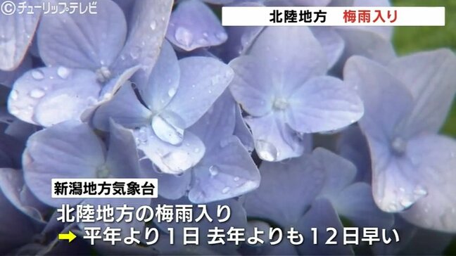 【速報】北陸地方で“梅雨入り” 平年より1日、去年よりも12日早く 気象庁【雨の動きシミュレーション】|TBS NEWS DIG