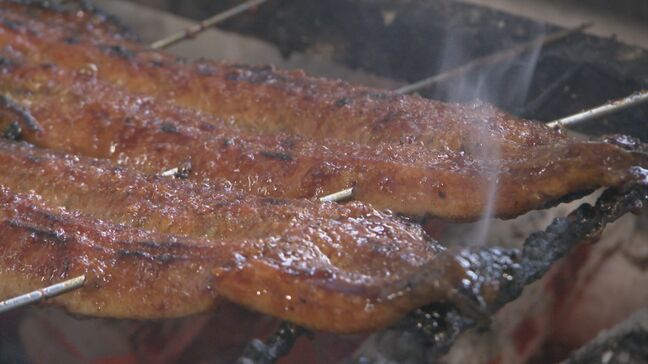 ウナギの価格  規制かかれば「単純計算で5倍に」ワシントン条約で揺れる“ウナギ業界” どんな影響が？|TBS NEWS DIG