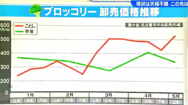 ブロッコリー卸売価格が平年の5割増し　キャベツも1玉200円ほどが500円に…  理由は天候不順 今後の見通しは|TBS NEWS DIG