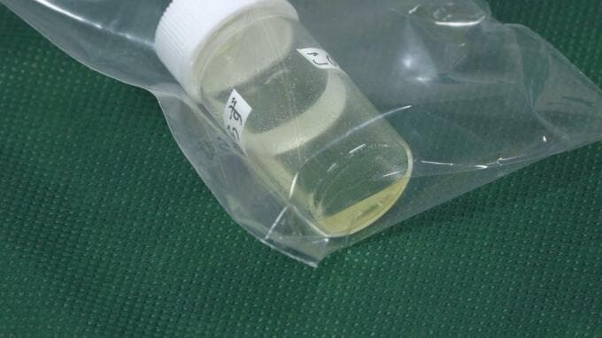 空港での薬物摘発件数は2025年を上回るペース　空港や港で密輸取締の特別警戒期間スタート|TBS NEWS DIG
