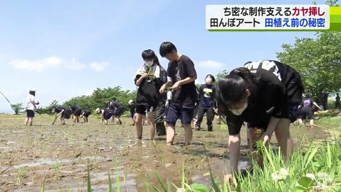 緻密な「田んぼアート」支える先進手法とは？高校生が気負わず田植え楽しむ|TBS NEWS DIG