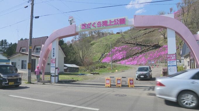 【滝上町】観測史上最大の強風　見ごろの「芝ざくら公園」休園で打撃　観光協会「断腸の思い」道の駅のトイレ停止やストーブが使えない住民など被害|TBS NEWS DIG