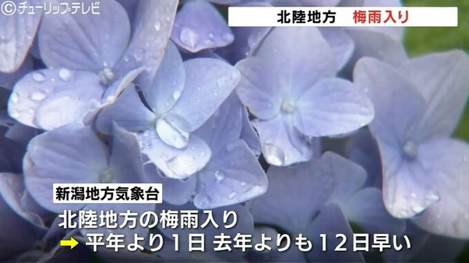 【速報】北陸地方で“梅雨入り”　平年より1日、去年よりも12日早く　気象庁【雨の動きシミュレーション】|TBS NEWS DIG