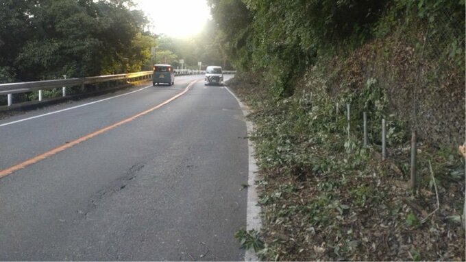 「いきなり木が倒れてきた」倒木が走行中の車2台に衝突する事故　けが人なし＝静岡・富士宮市　|　静岡のニュース | SBSNEWS | 静岡放送
