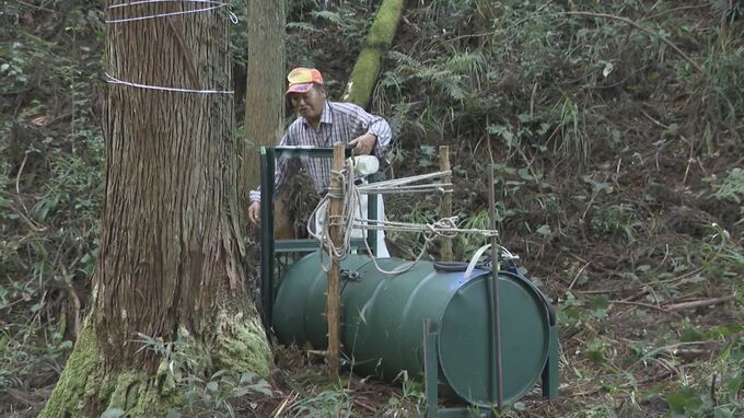 クマに襲われ男性重傷　おととし以来の人身被害　岩国市本郷町では警戒強まる　目撃情報は激増過去最高を大きく超えるペース　山口県　|　山口のニュース・天気・防災｜tys NEWS｜ｔｙｓテレビ山口
