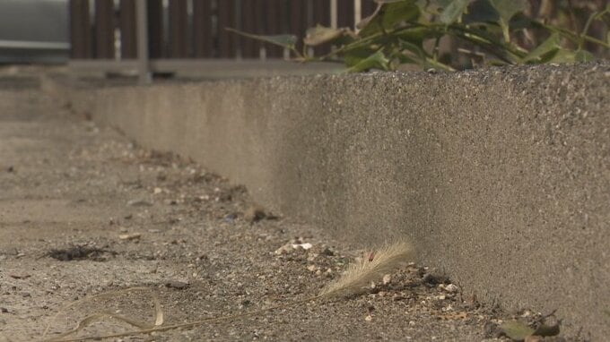 臓器が取りだされたネコの死骸　住宅街のゴミ置き場で見つかる　半径およそ1km　ネコが片足を失うなど被害が相次ぐ　|　山梨のニュース | ＵＴＹテレビ山梨