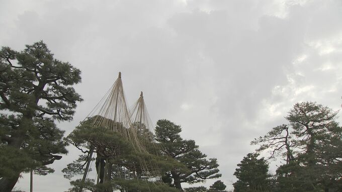 兼六園にも春の訪れ… 雪の重みから樹木を守る雪吊りの取り外し作業　|　石川県のニュース｜MRO北陸放送