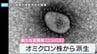 新型コロナウイルスの新たな変異株「ニンバス」　なぜ今感染が拡大？「基本的な感染対策と定期的な換気を」　|　岡山・香川のニュース | 天気 | RSK山陽放送