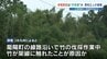 【JR豊肥線】竹の伐採作業で停電か 感電した作業員2人軽傷　2時間半運転見合わせ 約1500人に影響　|　熊本のニュース｜RKK NEWS｜RKK熊本放送